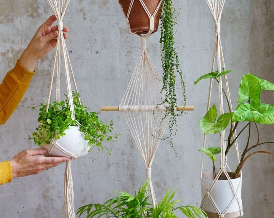 Macrame Infinity Plant Hanger / Gifts for her/ Houseplants / Boho