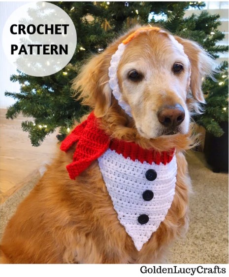 Golden retriever wearing a red and white Christmas bandana with black buttons on it