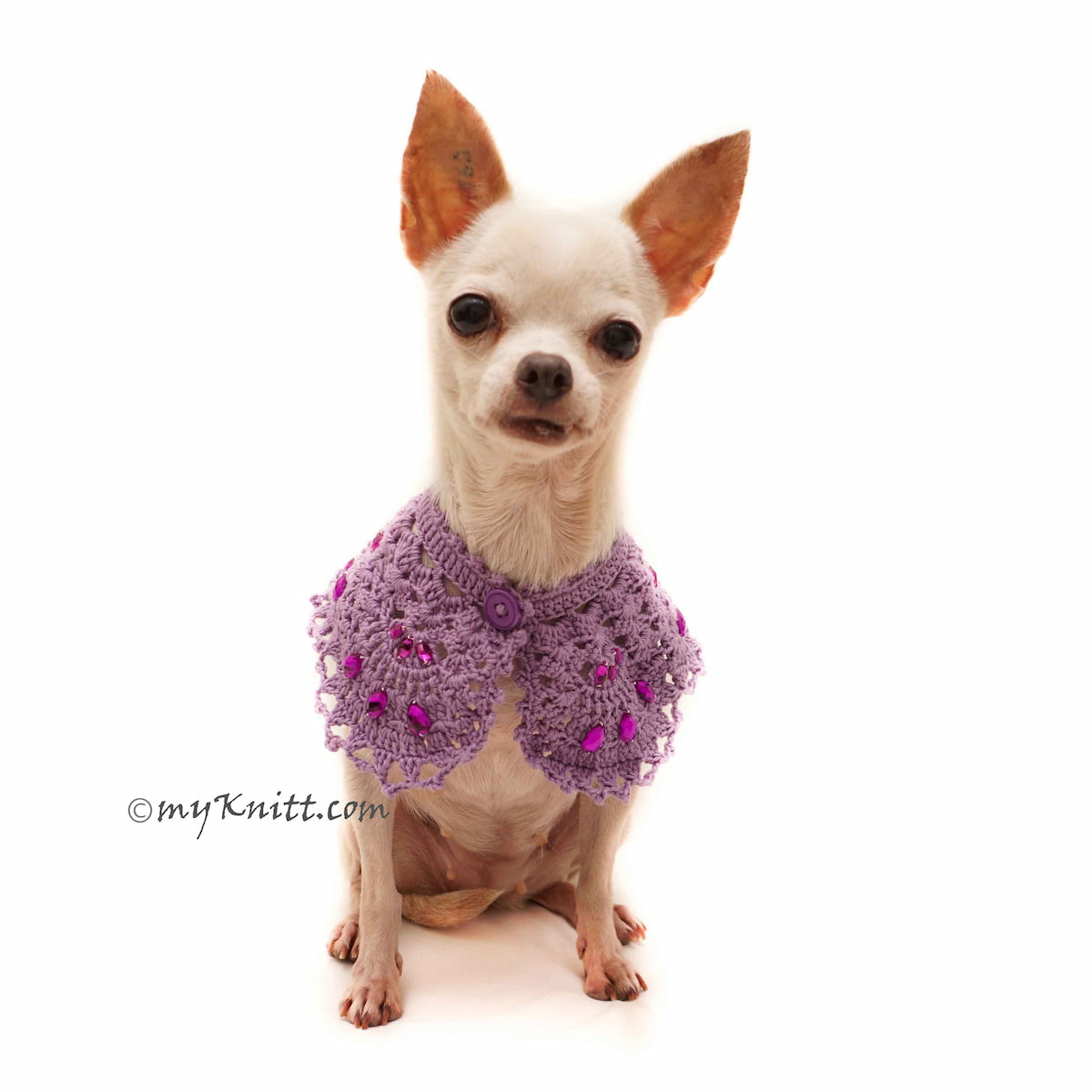 Chihuahua wearing a purple crochet dog scarf with purple rhinestones -  Crochet Dog Bandana by Myknitt