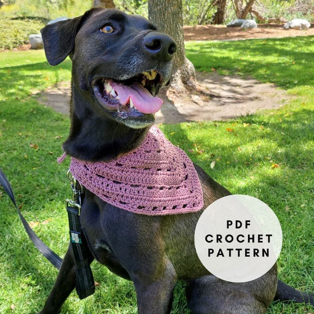 Black dog wearing a pink crochet dog bandana - Crochet Dog Bandana by TheLoopholeFox