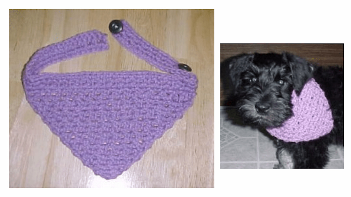 Black dog wearing a purple crochet bandana, and another image of the bandana laying on a table - Dog Bandana Free Crochet Pattern by Crochet 'N' More