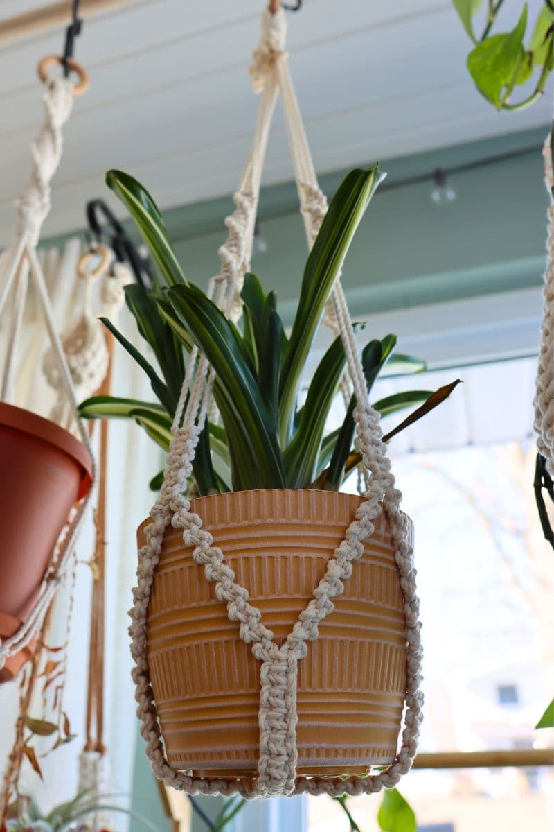 finished no tassel macrame plant hanger