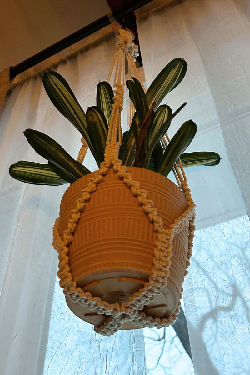 finished no tassel macrame plant hanger