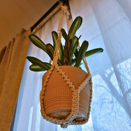 featured image for low key and tassel free macrame plant hanger