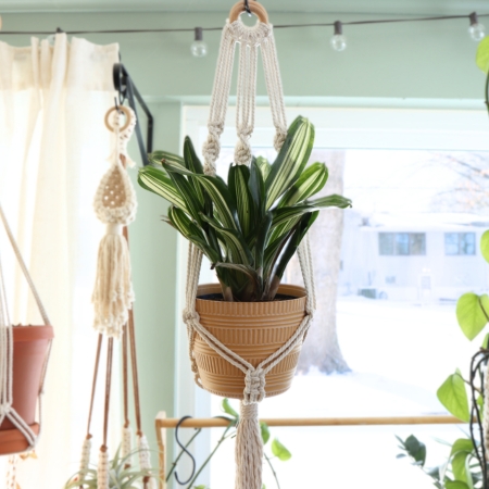 macrame plant hanger featured image